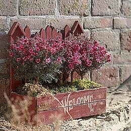 养成游戏《火山的女儿》Steam正式发售 多结局可探索